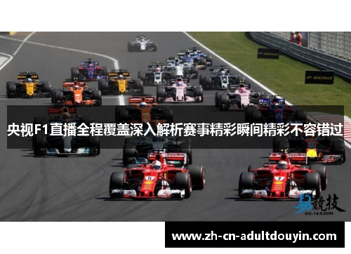 央视F1直播全程覆盖深入解析赛事精彩瞬间精彩不容错过