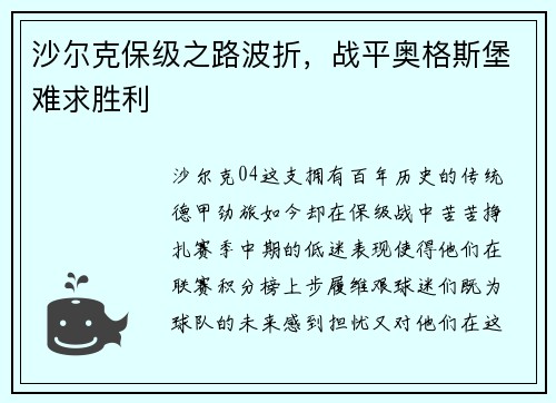 沙尔克保级之路波折，战平奥格斯堡难求胜利